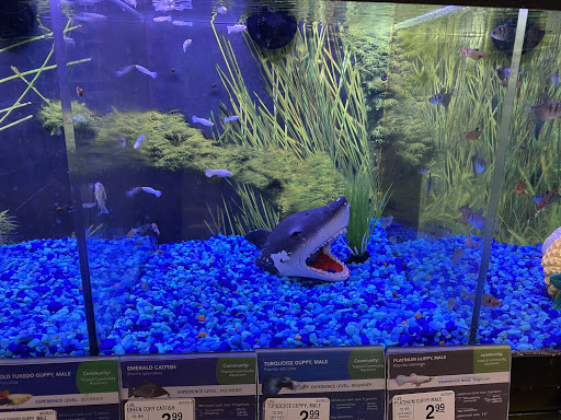 Pet Supply Store «PetSmart», reviews and photos, 1410 NE 23rd St, Pompano Beach, FL 33062, USA