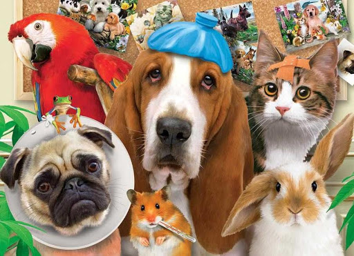 18479 Mack Ave, Detroit, MI 48236, USA