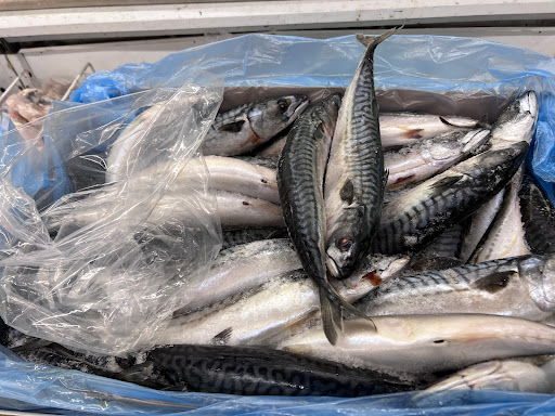 Asian Grocery Store «Thai An Oriental Market», reviews and photos, 2425 S Hillside St # 500, Wichita, KS 67216, USA