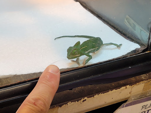 Pet Supply Store «Pet Bazaar», reviews and photos, 490 FL-436, Casselberry, FL 32707, USA