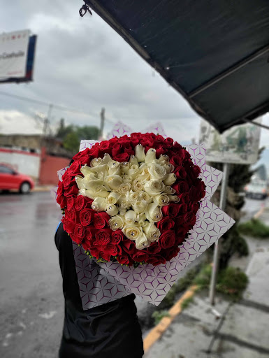 Rose of Sharon – Saltillo