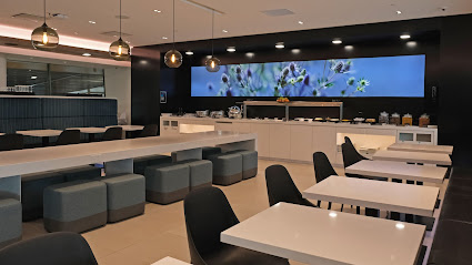 Air New Zealand Regional Lounge Dunedin