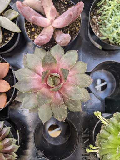 Home Improvement Store «The Home Depot», reviews and photos, 500 S Santa Fe Dr, Denver, CO 80223, USA