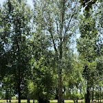 Photo n°2 de l'avis de Assodipendenti.a fait le 20/07/2023 à 17:10 sur le  Parco del Grassano à San Salvatore Telesino