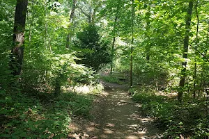 Nature Trail image