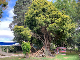 Waitakere Kindergarten