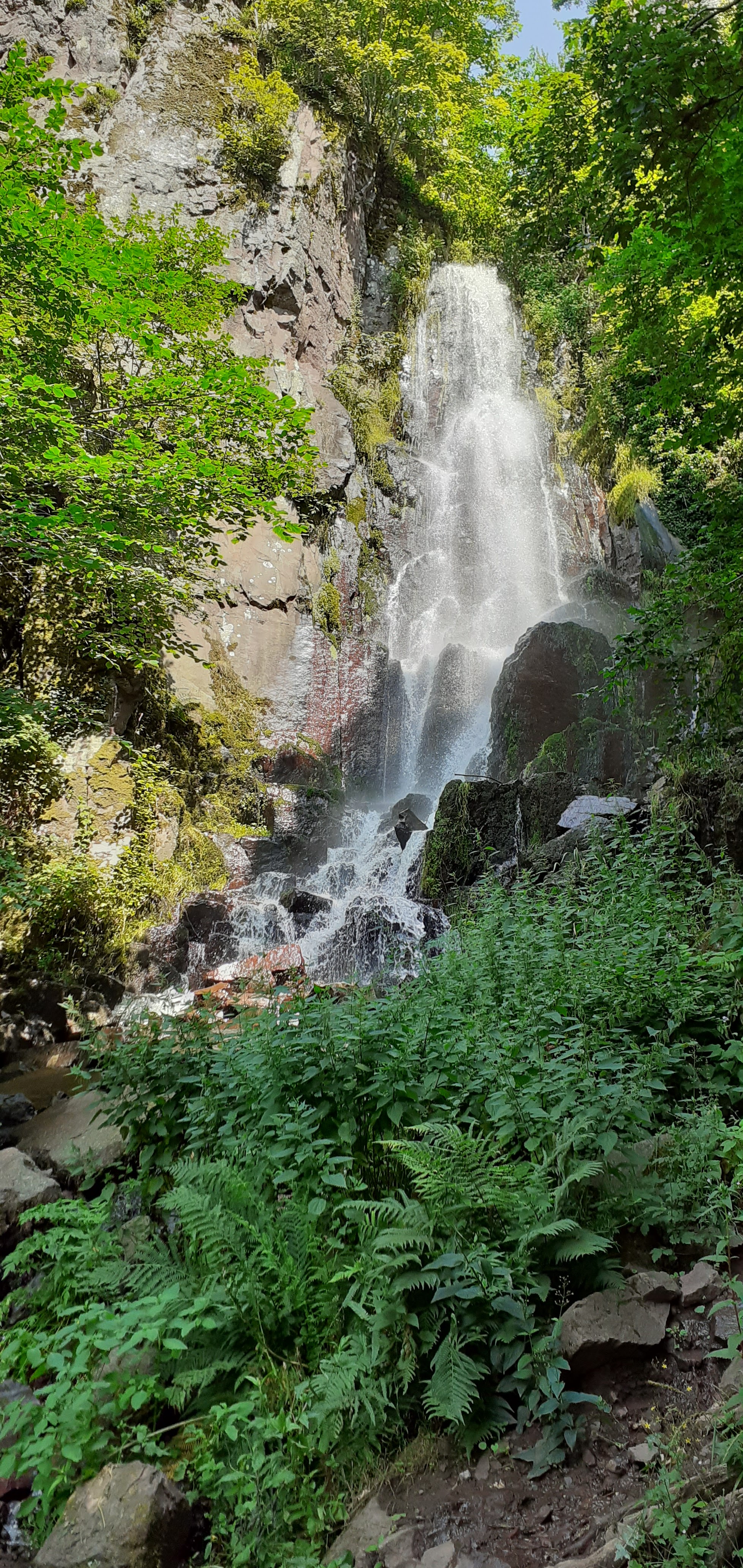 Photo n° 1 de l'avis de annabelle.c fait le 22/07/2021 à 11:50
