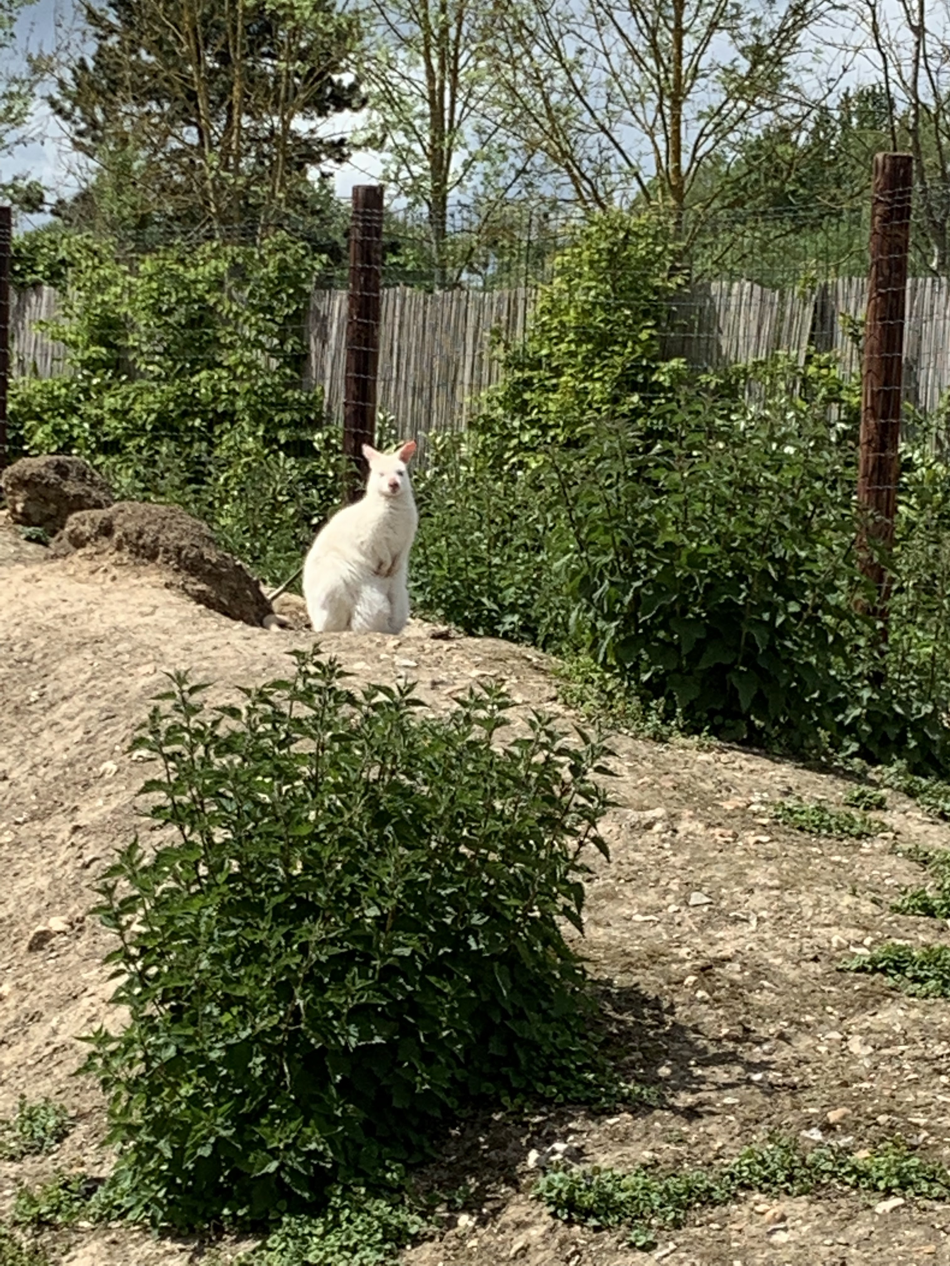 Photo n° 11 de l'avis de Angie. fait le 15/05/2019 à 11:27