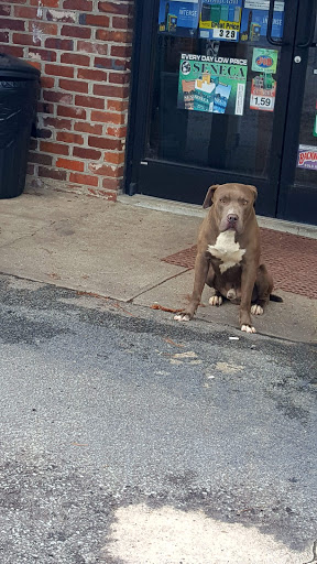 Tobacco Shop «Tobacco Products LLC», reviews and photos, 2707 4th Ave, Conway, SC 29527, USA