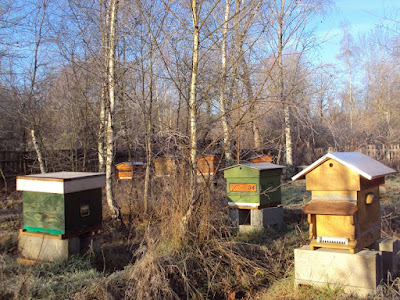 Les Ruchers de la Dodinière • Apiculture à Mesland