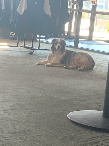 Golf Club «Fern Hill Golf Club», reviews and photos, 17600 Clinton River Rd, Charter Twp of Clinton, MI 48038, USA