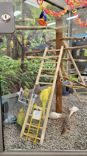 Pet Supply Store «Petco Animal Supplies», reviews and photos, 2617 196th St SW #141, Lynnwood, WA 98036, USA