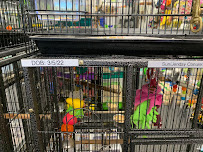 The Spoiled Pet - Photo 3 - Car repair in Myrtle Beach, SC, Myrtle Beach
