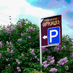 Photo n°1 de l'avis de Uwe.i fait le 07/05/2023 à 18:18 sur le  Hoppeditzel Weinstube à Impflingen