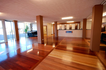 Timber Flooring Solutions