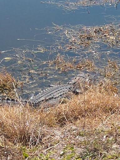 Country Club «Myerlee Country Club», reviews and photos, 1380 Myerlee Country Club Blvd, Fort Myers, FL 33919, USA