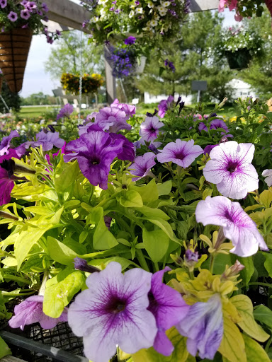 Produce Market «Kroul Farms», reviews and photos, 245 IA-1, Mt Vernon, IA 52314, USA