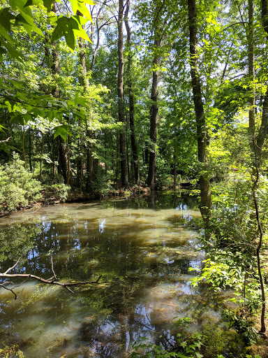 Theme Park «Frontier Town Western Theme Park», reviews and photos, 8428 Stephen Decatur Hwy, Berlin, MD 21811, USA