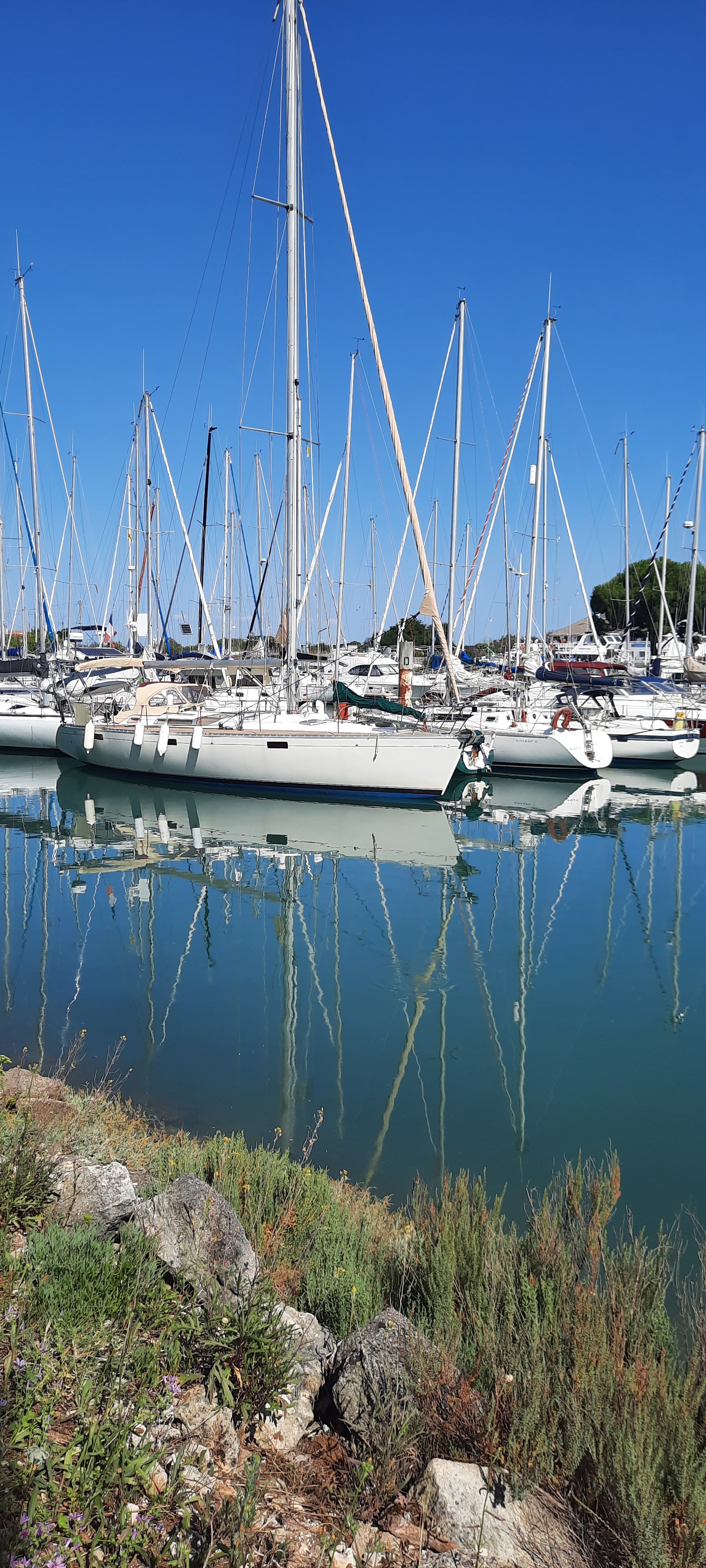 Photo n° 1 de l'avis de Patrick.i fait le 17/07/2023 à 17:14