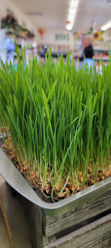 Health Food Store «Sunshine Health Foods», reviews and photos, 111 W 535 S, Cedar City, UT 84720, USA