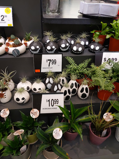 Grocery Store «Giant Food Stores», reviews and photos, 3175 Cape Horn Rd, Red Lion, PA 17356, USA