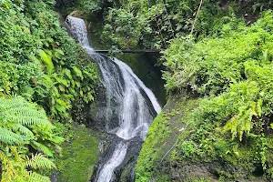 Wigmore's Waterfall image