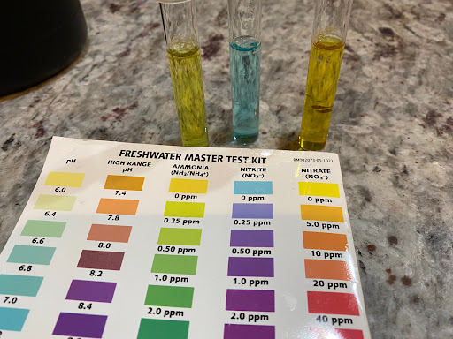 Tropical Fish Store «Seascape Aquatics», reviews and photos, 5038 Academy Blvd N, Colorado Springs, CO 80918, USA