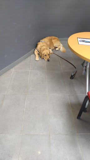 Used Car Dealer «Ron Tonkin Dealerships Used Cars», reviews and photos, 9008 SW Canyon Rd, Portland, OR 97225, USA