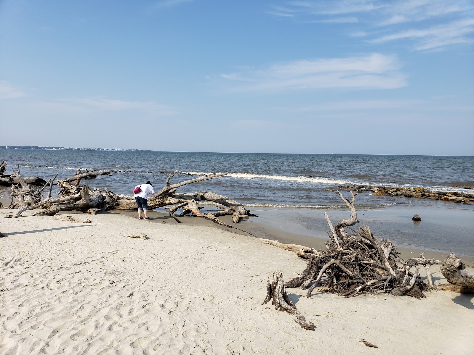 Fotografija Driftwood beach priljubljeno mesto med poznavalci sprostitve