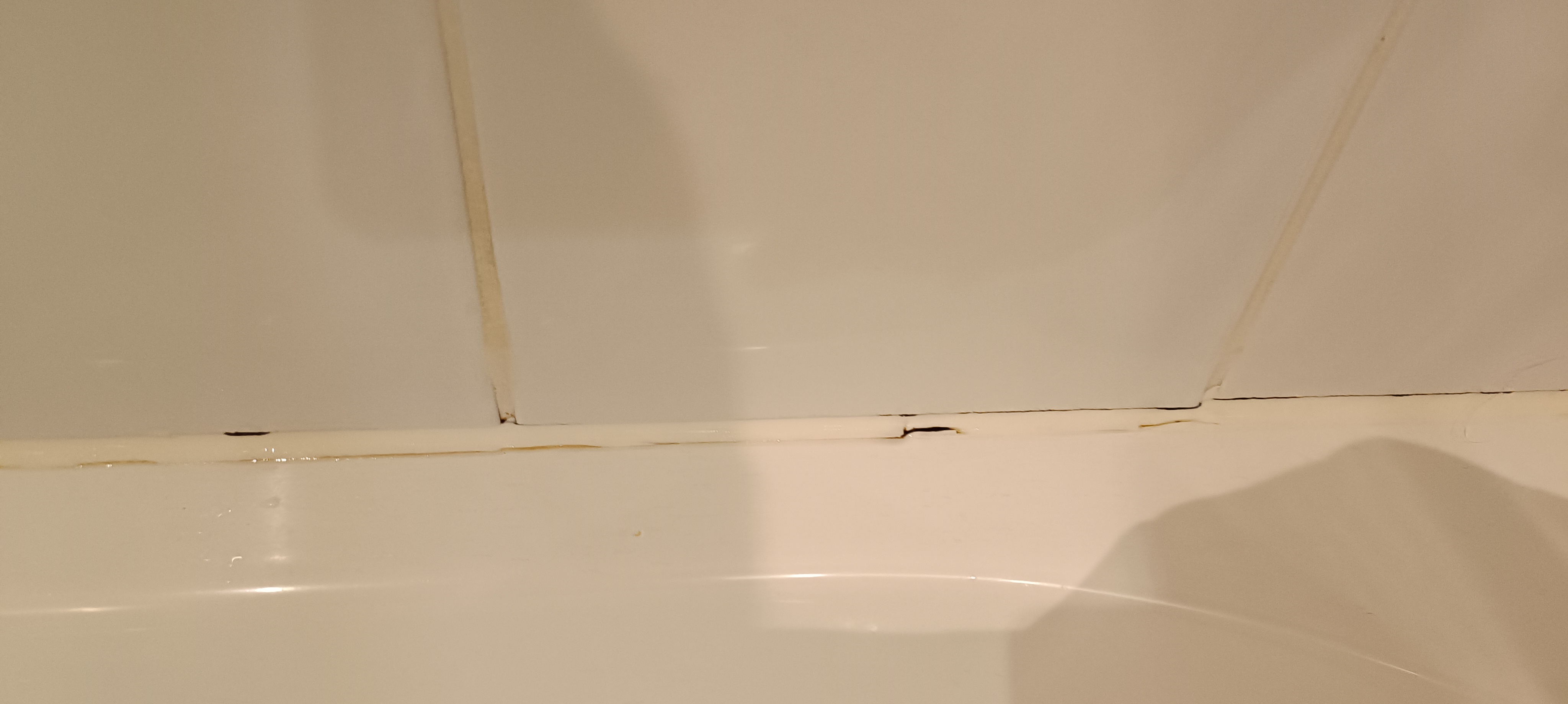 Photo n° 1 de l'avis de flame.o fait le 01/01/2024 à 09:33