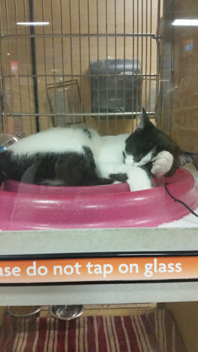 Pet Supply Store «PetSmart», reviews and photos, 2718 Legends Pkwy, Prattville, AL 36066, USA