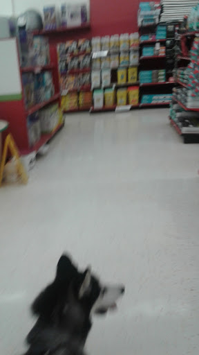 Pet Supply Store «Petco Animal Supplies», reviews and photos, 1049 S Willow St, Manchester, NH 03103, USA