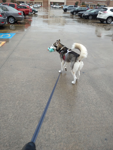 Pet Supply Store «PetSmart», reviews and photos, 2610 Eldridge Pkwy, Houston, TX 77082, USA