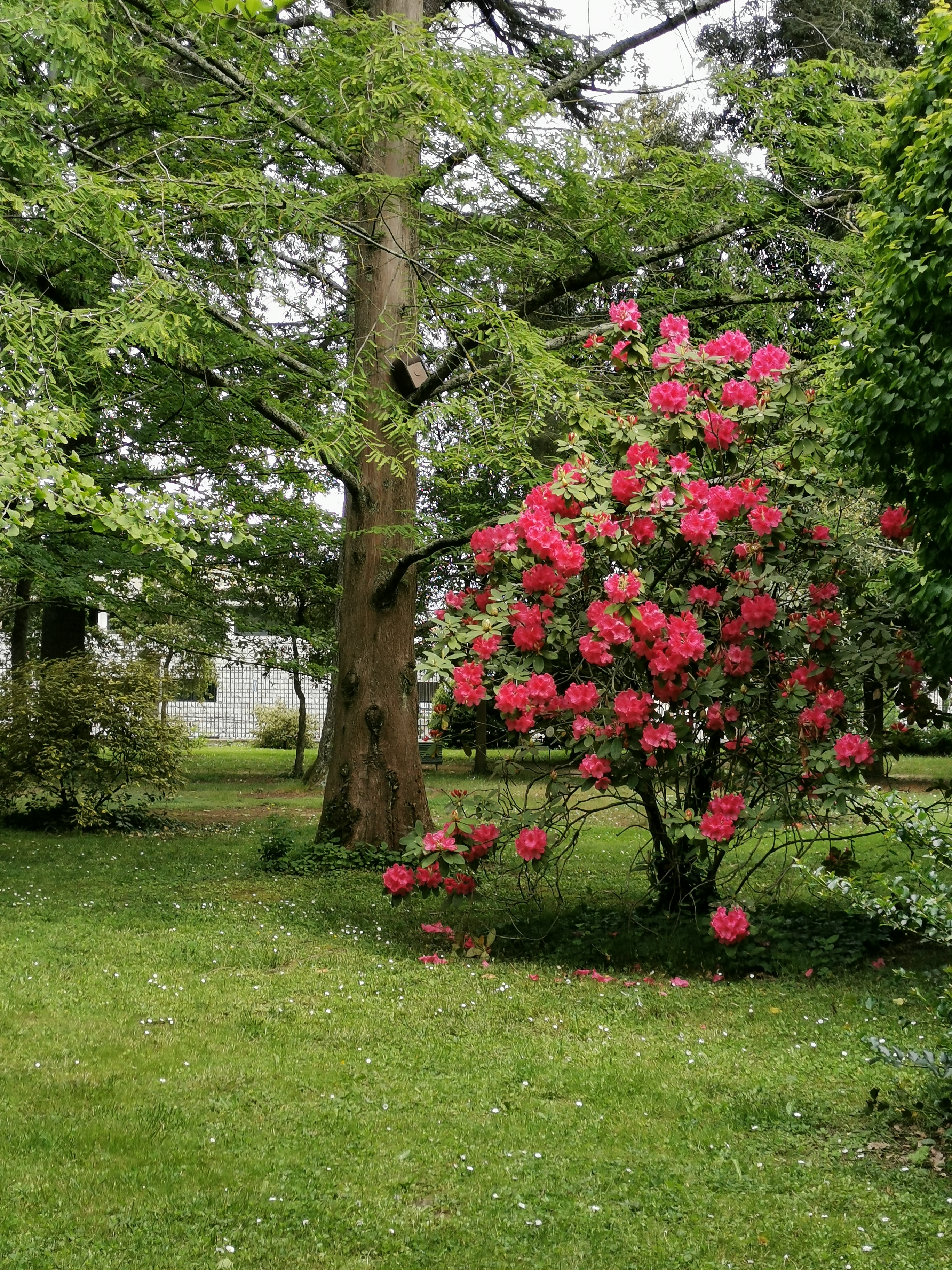 Photo n° 6 de l'avis de veronique.a fait le 26/05/2021 à 15:49