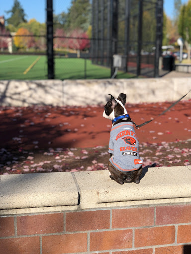 Souvenir Store «OSU Beaver Store», reviews and photos, 663 SW 26th St, Corvallis, OR 97331, USA