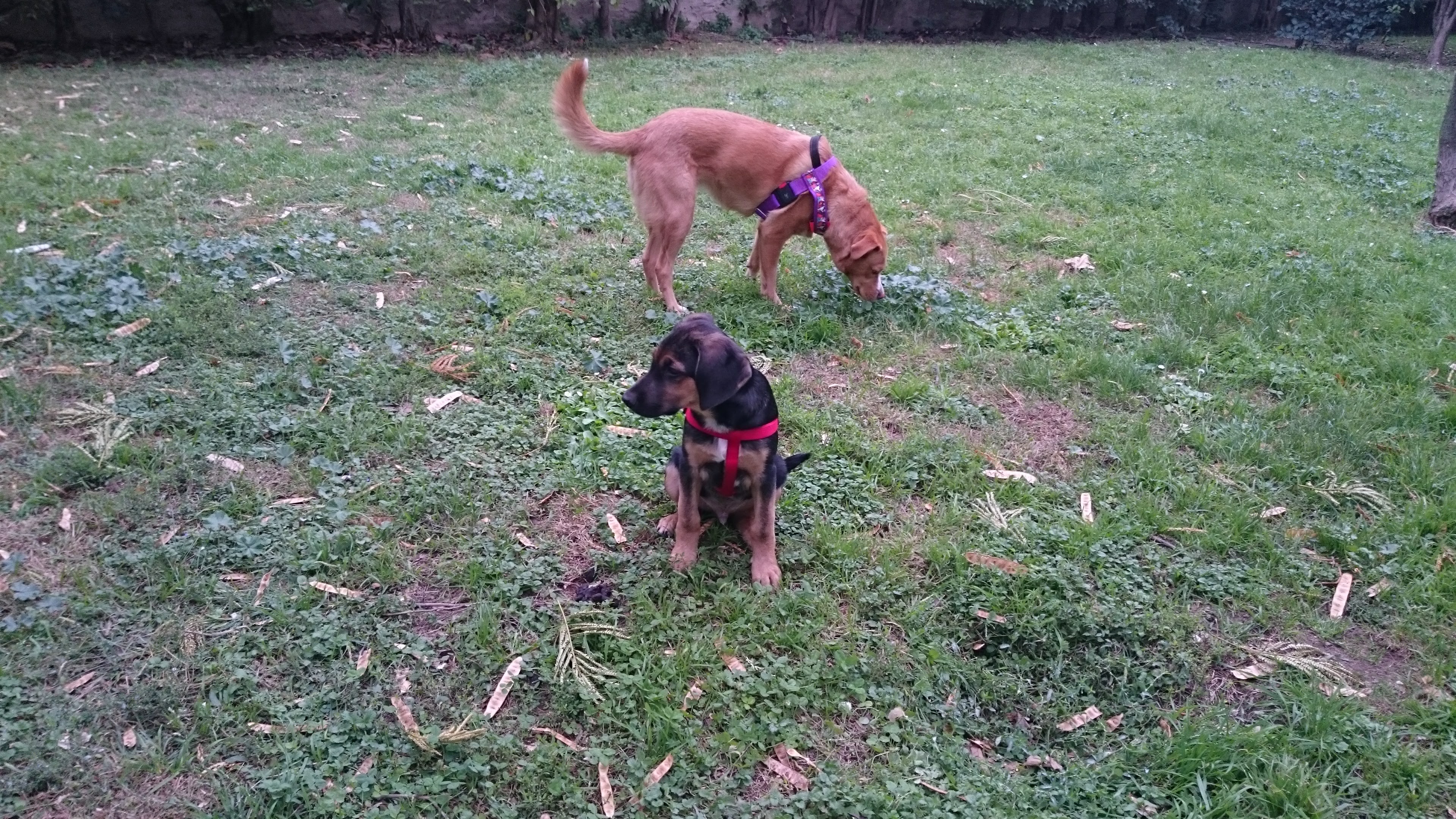 Photo n° 2 de l'avis de Emeline.a fait le 29/03/2017 à 14:28
