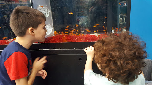 Pet Supply Store «Pet Supermarket», reviews and photos, 7822 Gall Blvd, Zephyrhills, FL 33541, USA