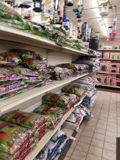 Home Improvement Store «Everydays True Value», reviews and photos, 797 Foote Ave, Jamestown, NY 14701, USA