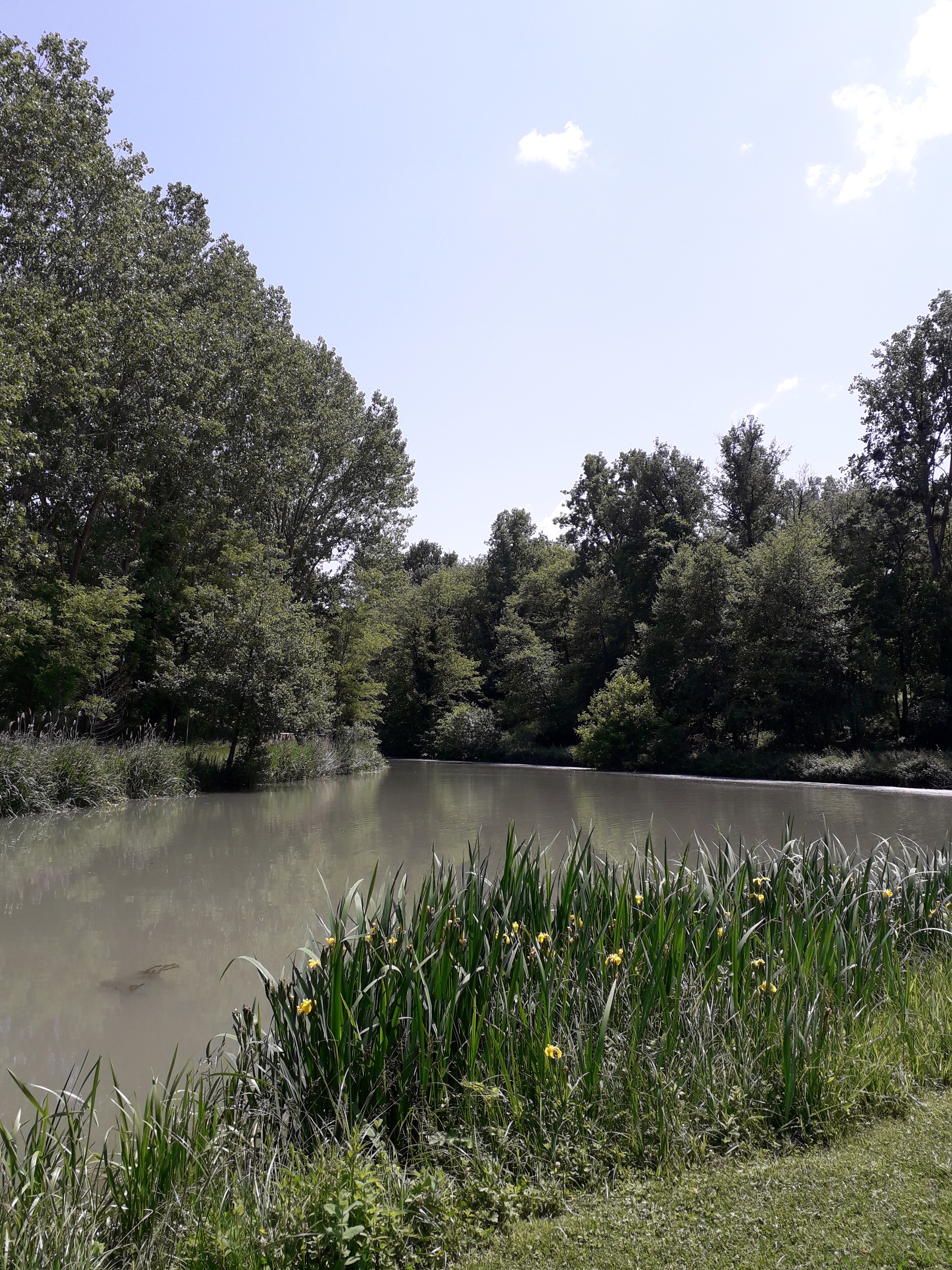 Photo n° 3 de l'avis de DOMINIQUE.A fait le 17/05/2023 à 18:42