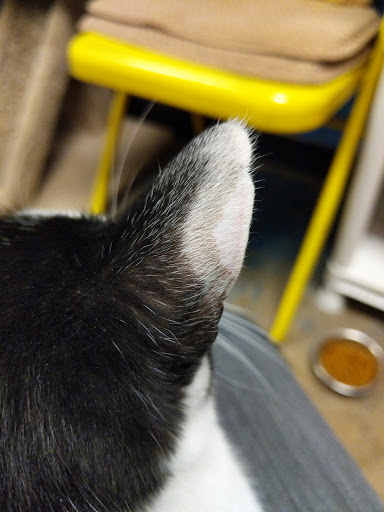 Pet Supply Store «PetSmart», reviews and photos, 7 U.S. 9, Manalapan Township, NJ 07726, USA