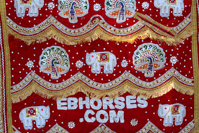 Equishare Baraat Horses