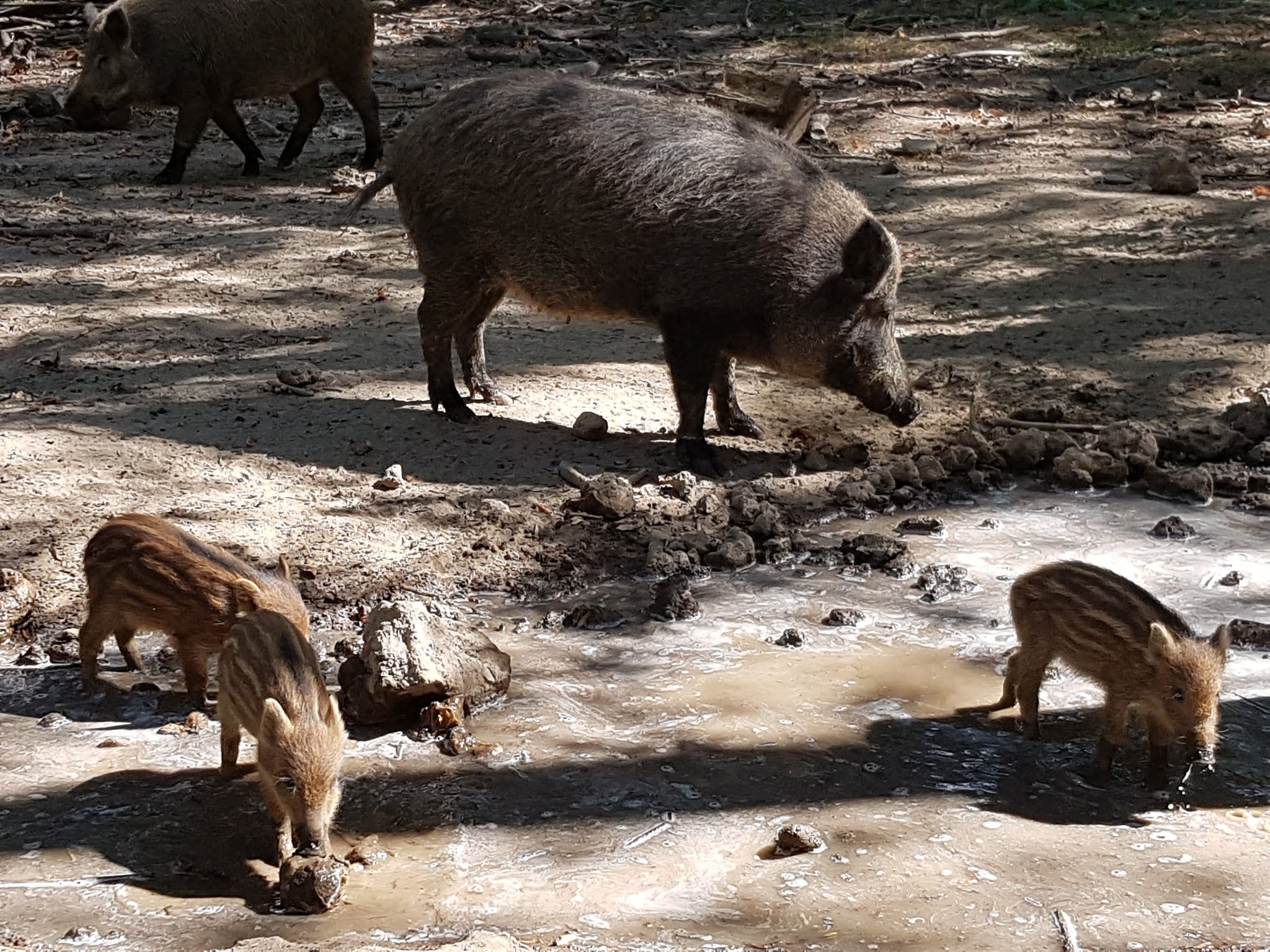 Photo n° 3 de l'avis de Octhane.a fait le 17/08/2018 à 19:35