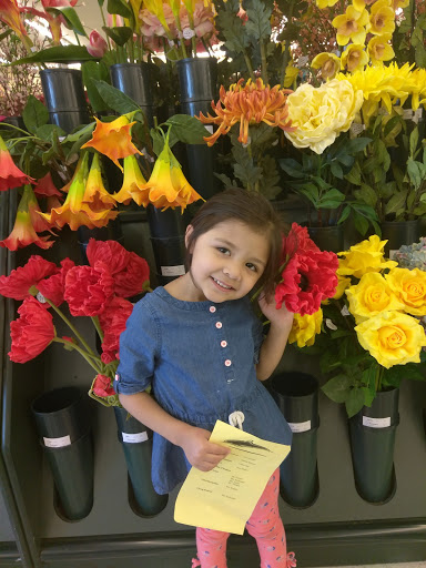 Craft Store «Hobby Lobby», reviews and photos, 4215 Jimmy Lee Smith Pkwy Suite 25, Hiram, GA 30141, USA