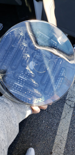 Reptile Store «CV Exotics», reviews and photos, 320 Sandown Rd, East Hampstead, NH 03826, USA