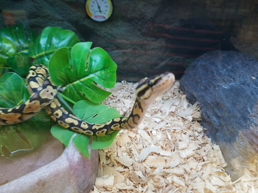 Pet Supply Store «Petco Animal Supplies», reviews and photos, 2955 Cobb Pkwy SE #410, Atlanta, GA 30339, USA