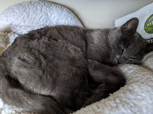 Thrift Store «Companion Animal Foundation», reviews and photos, 88 Sunnybrae Center, Arcata, CA 95521, USA