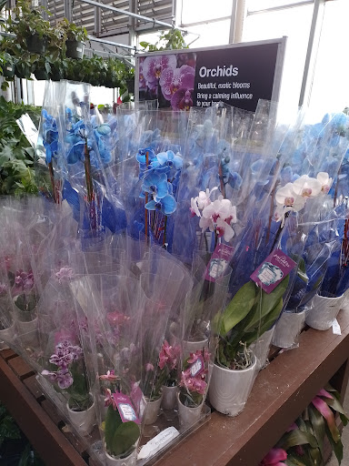 Home Improvement Store «The Home Depot», reviews and photos, 14000 Georgia Avenue, Aspen Hill, MD 20906, USA