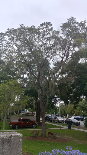 Park «Donnelly Park», reviews and photos, 530 N Donnelly St, Mt Dora, FL 32757, USA