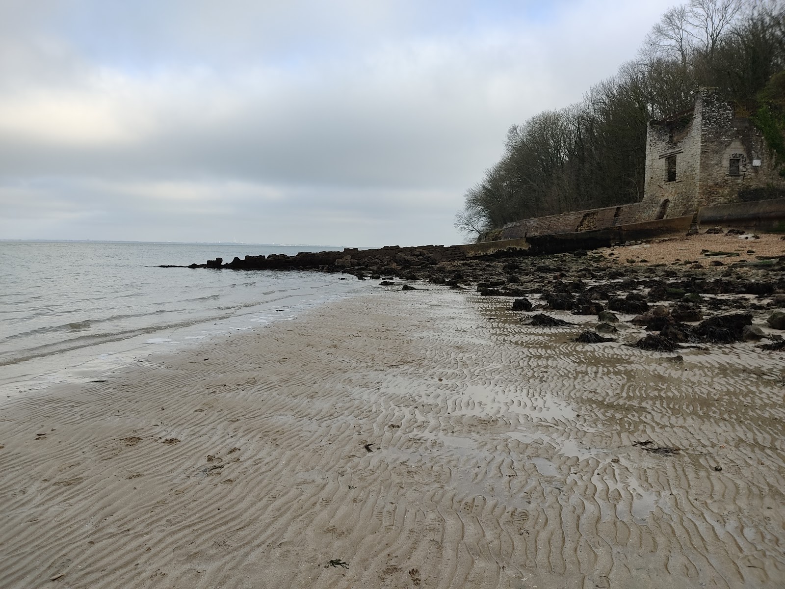 Fotografija East Cowes Beach z turkizna čista voda površino