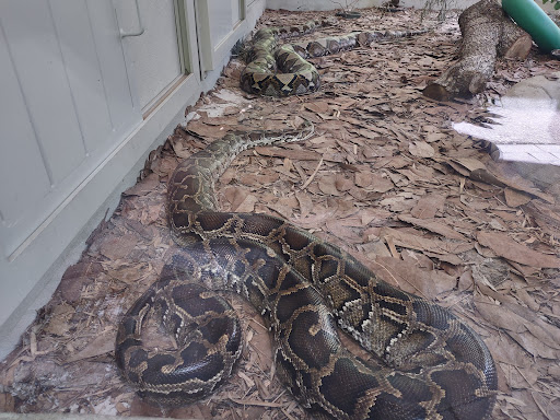 Zoo «Naples Zoo at Caribbean Gardens», reviews and photos, 1590 Goodlette-Frank Rd, Naples, FL 34102, USA